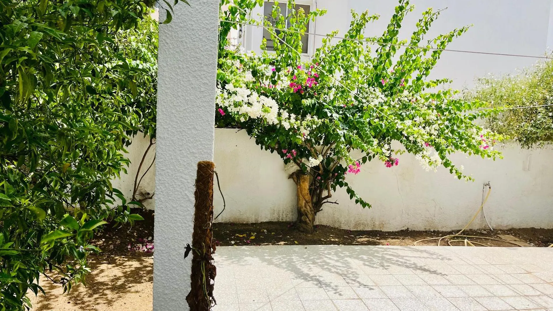 Superbe Appartement Avec Jardin A 15Min De L Aeroport Tunis Tunisia