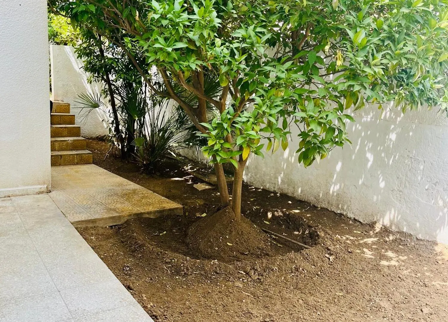 Apartment Superbe Appartement Avec Jardin A 15Min De L Aeroport Tunis