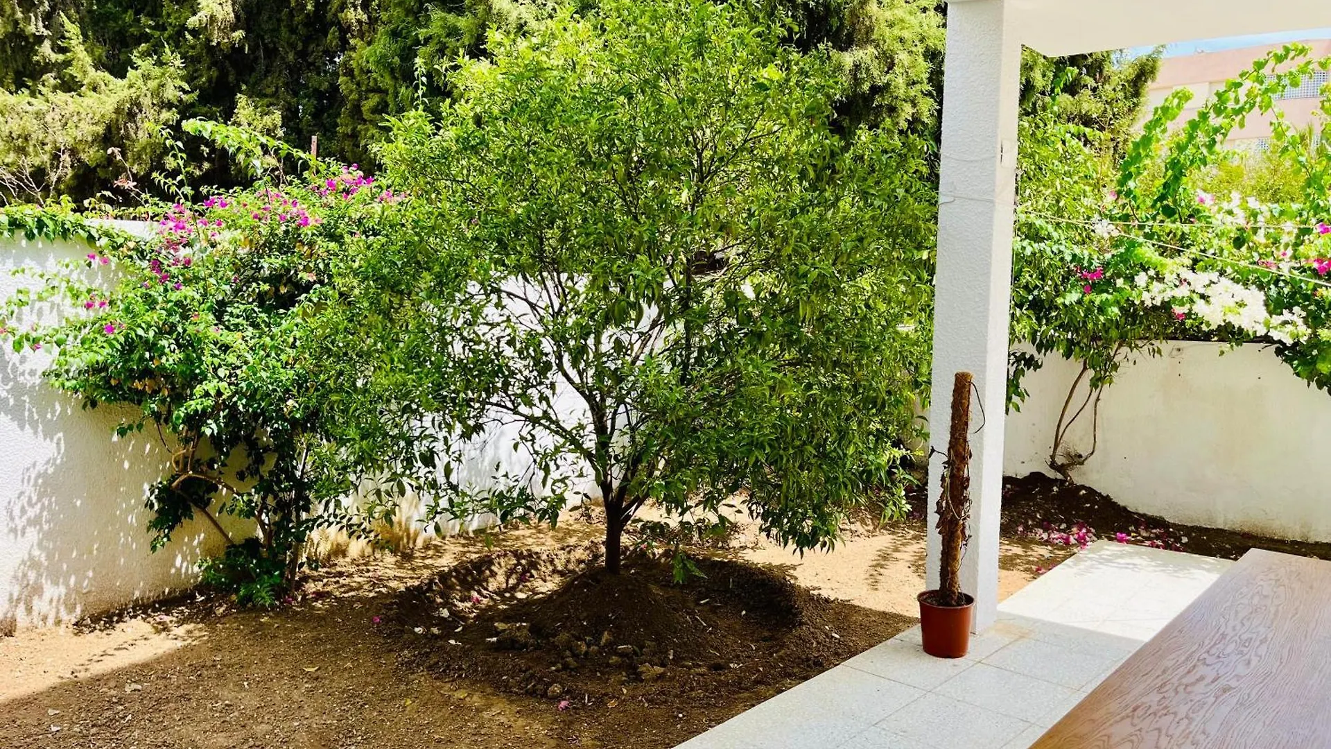 Superbe Appartement Avec Jardin A 15Min De L Aeroport Tunis Apartment