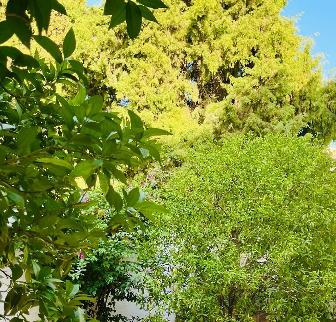 Superbe Appartement Avec Jardin A 15Min De L Aeroport Tunis 0*,